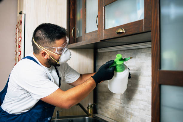 Best Pest Control for Businesses  in Maple Bluff, WI