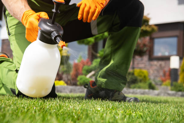 Best Local Pest Control Services  in Maple Bluff, WI