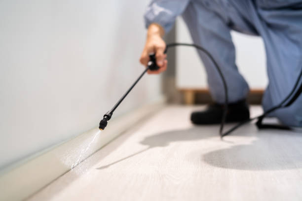 Professional Pest Control in Maple Bluff, WI