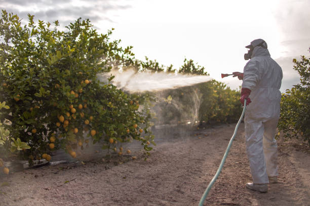 Best Emergency Pest Control  in Maple Bluff, WI