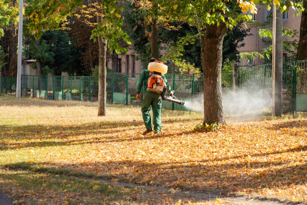 Best Pest Inspection Near Me  in Maple Bluff, WI