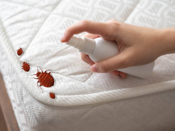 Best Pest Control Near Me  in Maple Bluff, WI