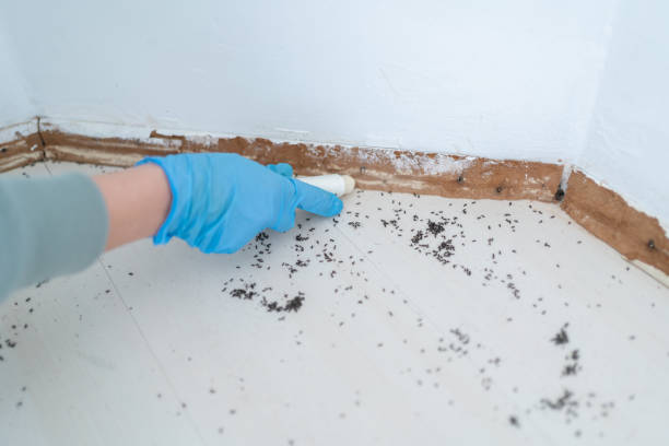 Best Exterminator Services  in Maple Bluff, WI